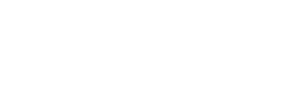 Lotus Turizm